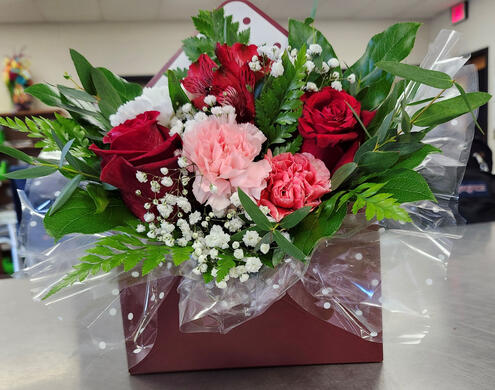 February 2024 FotM February 2024 FotM